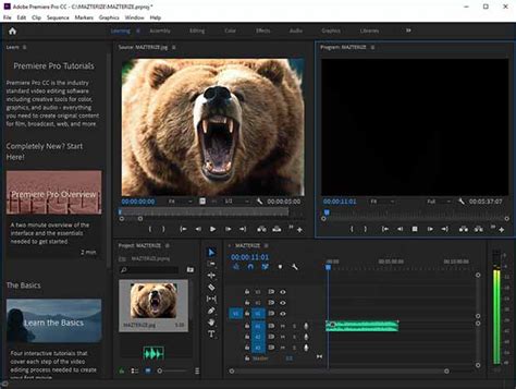 Is adobe premiere pro a powerful video editor? Adobe Premiere Pro CC 2019 v13.1.3.42 Full Version ...