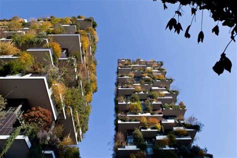 Vertical Forest Syncronia
