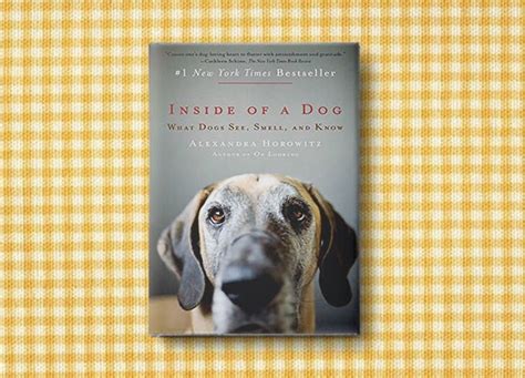 8 Absolute Must Read Books For Dog Lovers Dog Lovers Books Books To