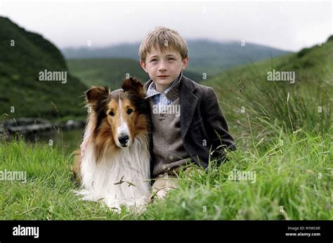 Lassie Dog Film High Resolution Stock Photography And Images Alamy