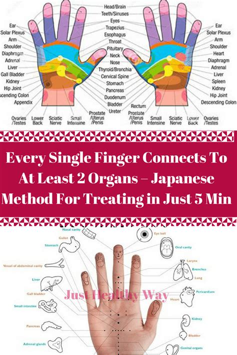 every single finger connects to at least 2 organs japanese method for treating in just 5 min