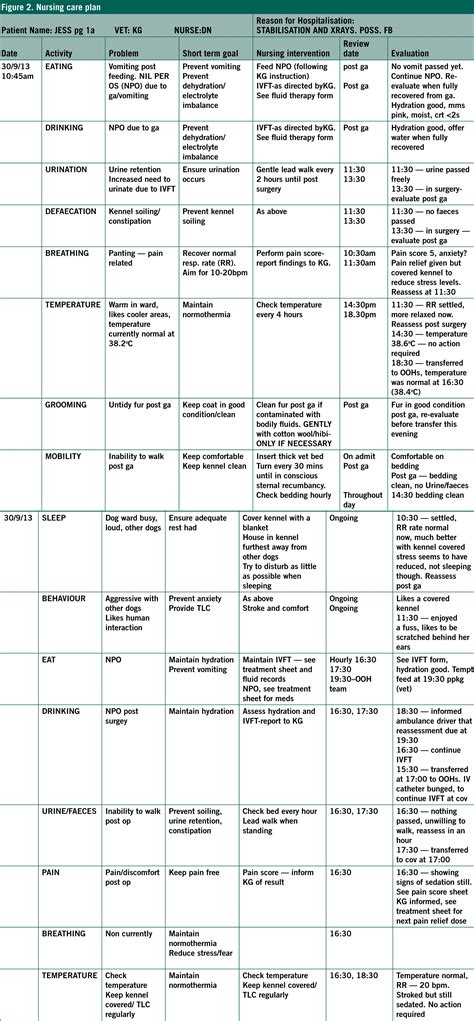 Database and list of nursing care plans (ncp) examples and nursing diagnoses for student nurses. Nursing Care Plan Template ~ Addictionary