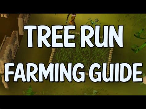 Fruit refers to a variety of food found around runescape.players can eat some fruits to regain life points or use them as ingredients in other food items with the cooking skill. Tree/Fruit Tree Farming Run Guide (OldSchool Runescape ...