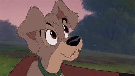 Download The Movie Lady And The Tramp Ii Scamps
