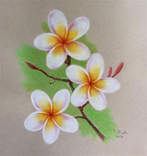 1001 Images De Dessin De Fleur Pour Apprendre à Dessiner Flower Drawing Images Realistic