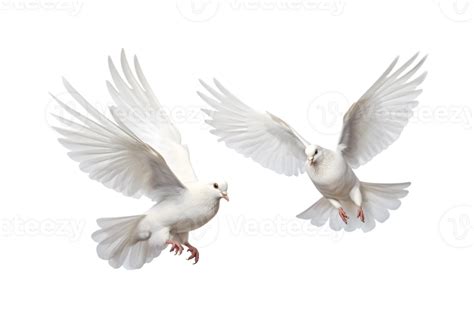 Two White Doves Are Flying Isolated On A Transparent Background