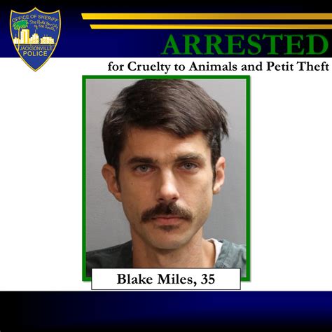Man arrested for animal cruelty in connection to missing, dead cats in