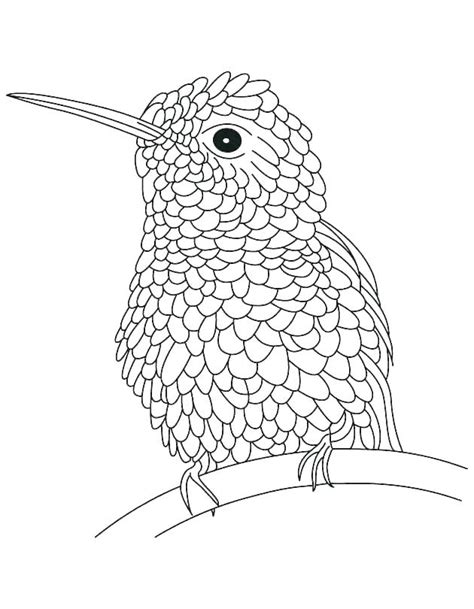 Birds coloring page with few details for kids. Hard Bird Coloring Pages at GetColorings.com | Free ...