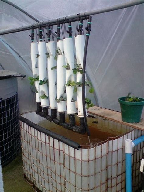 You can either make use of a vertical hydroponic system or a hydroponic kit. Aquaponic Strawberry Tower | Vertikal growing | Pinterest ...