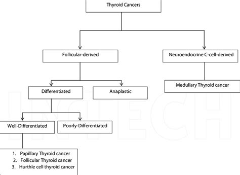 Classification Of Thyroid Malignancies Download Scientific Diagram