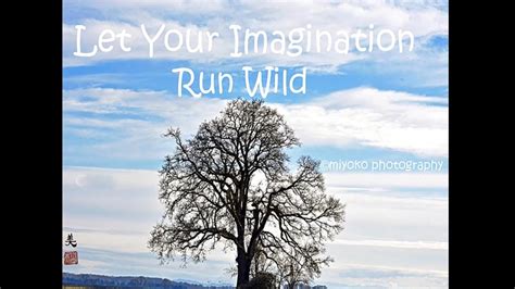 Let Your Imagination Run Wild - YouTube
