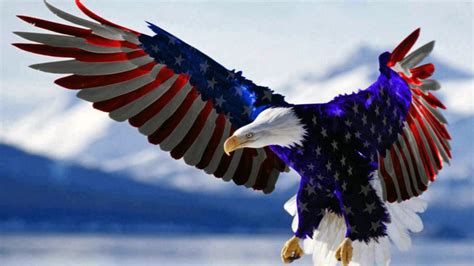 Bald Eagle American Flag Hd Wallpaper For Mobile Phones