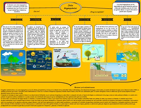 Mapa Mental Ciclos Biogeoquimicos Edukita