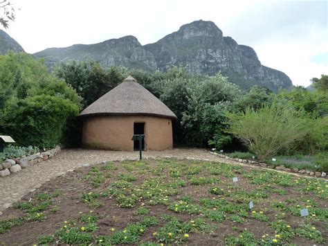 49 photos · curated by rose sullivan. South Africa - July to October 2010: Kirstenbosch National ...