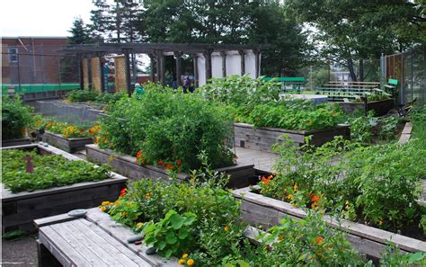 Community Gardens Municipal Land Halifax