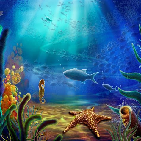 47 Beautiful Underwater Wallpaper On Wallpapersafari