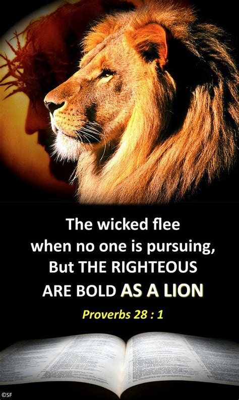 Maybe you would like to learn more about one of these? Proverbs 28: 1 | Scripture quotes faith, Lion quotes ...