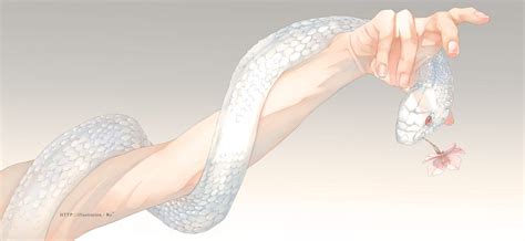Kare No Tokubetsu Na Kare Snake Art Anime Snake Beautiful Art