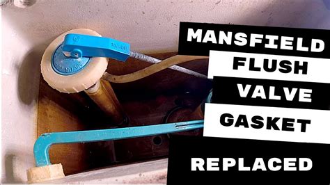 Toilet Wasting Water Mansfield Toilet Flush Valve Gasket Installed