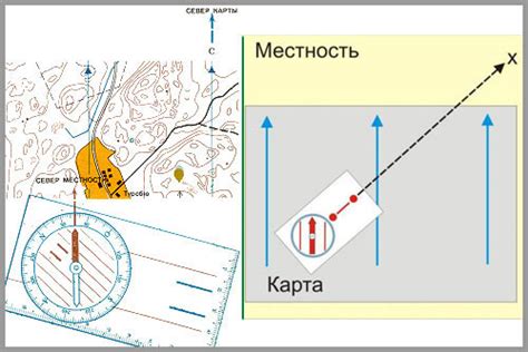 Основы ориентирования