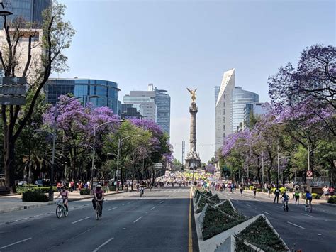 Paseo De La Reforma Connects The Culture And Economy Of Mexico City