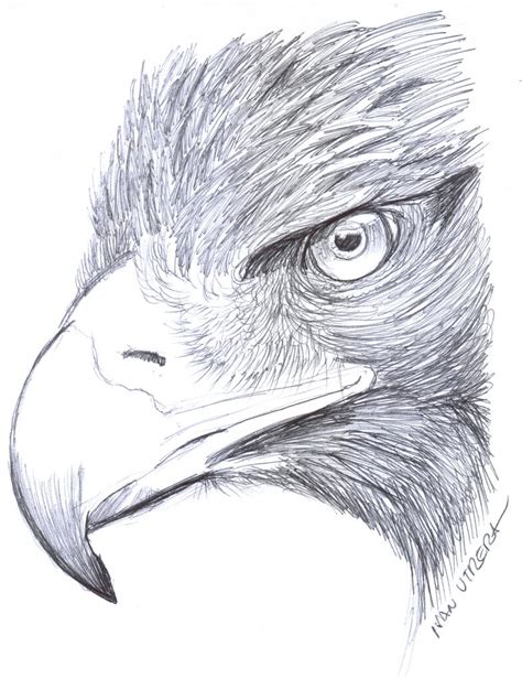 Aguila A Lapicero By Ivanutrera On Deviantart
