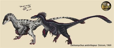 Jp3 Velociraptor By 16529950 Creature Concept Art Prehistoric