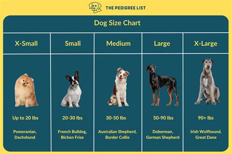 The Ultimate Guide How To Choose The Right Dog Breed For Your