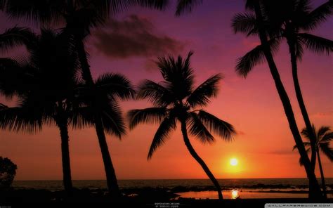 Tropical Beach Sunset Background