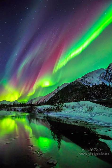 Aurora Borealis Alaska The Northern Lights