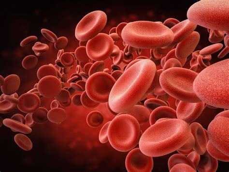 Emoglobina Bassa Anemia Valori Normali Cause E Sintomi Ohga
