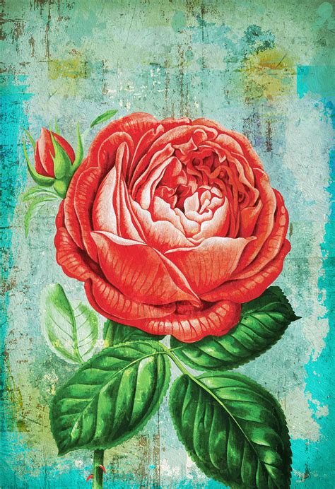 So, do consider adding those to. Rose Print Rose art botanical print flower kitchen decor ...