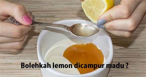 Di samping gula yang membuatnya terasa manis, madu. 100 Manfaat lemon madu untuk kesehatan dan kecantikan ...