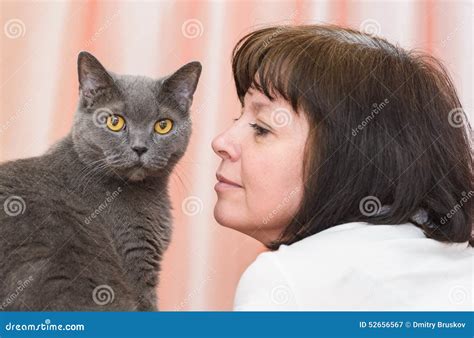 brunette woman with a british cat stock image image of owner background 52656567