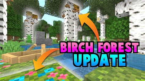 Minecraft 119 Is Changing The Birch Forest But What Will It Look Like