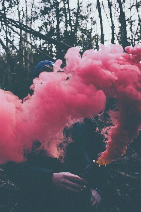 Ant, 4k, 5k wallpaper, hd, macro, smoke. colored smoke bombs | Tumblr