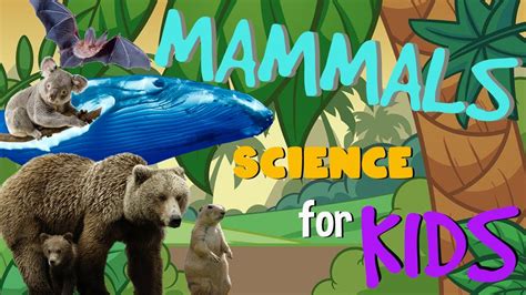Mammals | Science for Kids - YouTube