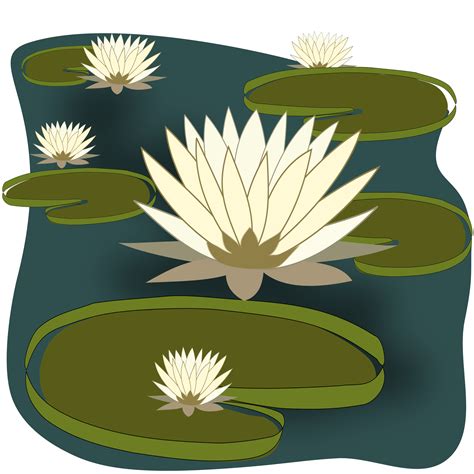 Vittoria regia apartamento a venda centro criciúma. Clipart - Vitória régia