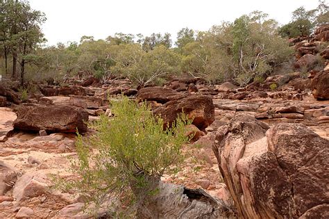 Visit Gundabooka National Park The Darling River Run Outback Drive