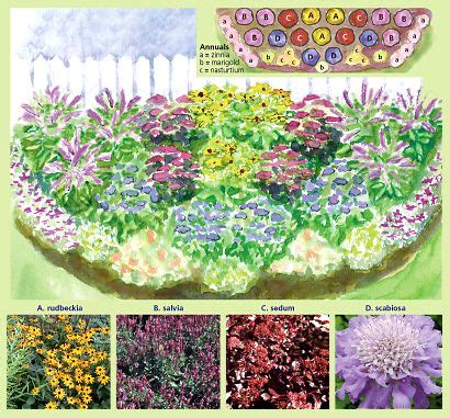 Full sun , partial sun. Perennial Border Flowers | Sunny Perennial Border, 17 ...