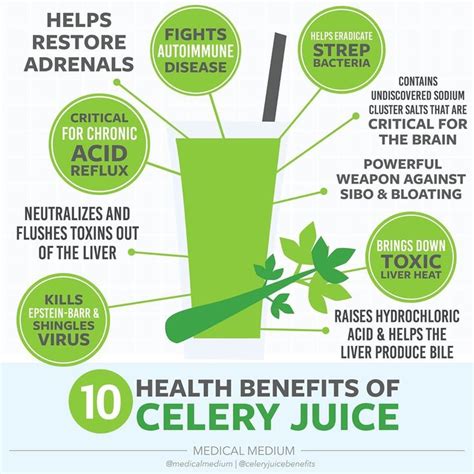 Celery Benefits Health Coconut Health Benefits Adrenal Disease