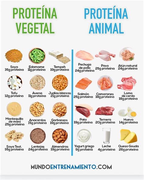 Diferencia Entre Proteinas De Origen Animal Y Vegetal Esta Diferencia