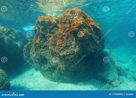 Underwater Large Rock Below Sea Surface Stock Image Image Of Rocky