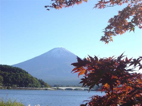 Best places to see the autumn leaves in Japan by month