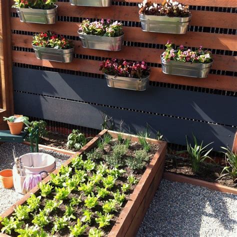 10 Creative Apartment Herb Garden Designs You Should Try