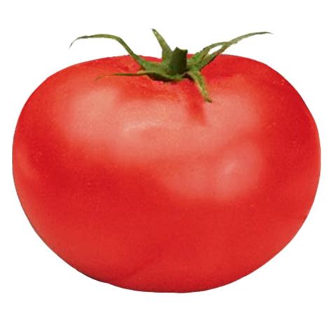 Tomato Better Boy Hybrid Seeds Sandia Seed Company