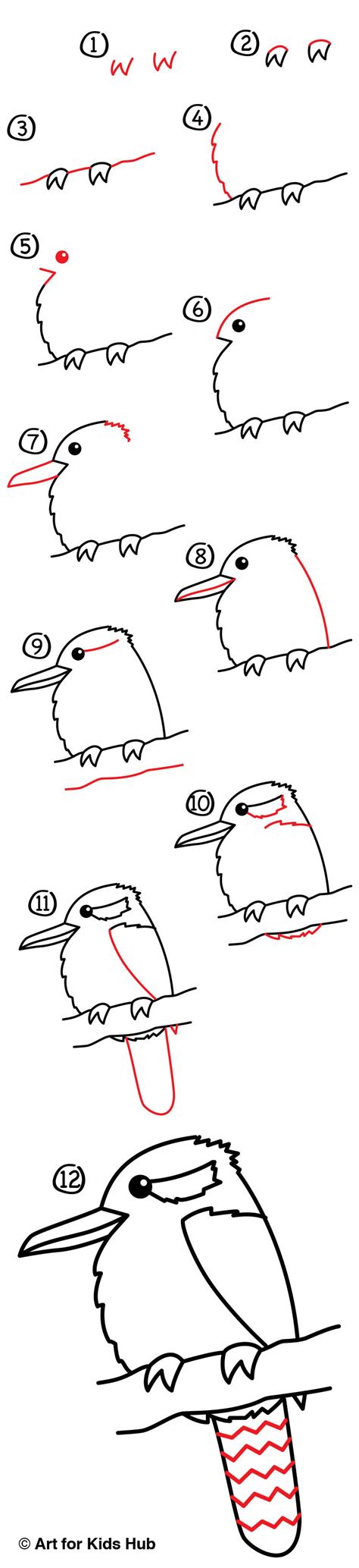 How To Draw A Kookaburra Art For Kids Hub