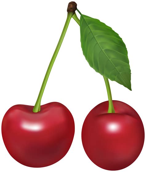 Cherries Clipart Png 10 Free Cliparts Download Images On Clipground 2024