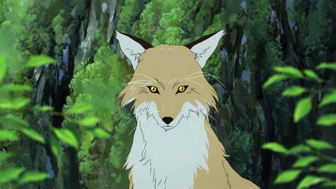 Wolf Children Anime Wallpapers Wallpaper Cave