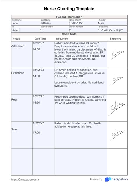 Examples Of Documentation Forms And Formats Nursing Nursing Chart My